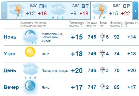 Погода на рабочую неделю в Нижнем Новгороде: пасмурно и ветрено 1