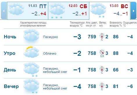 Погода на выходные 12-13 марта в Нижнем Новгороде 1