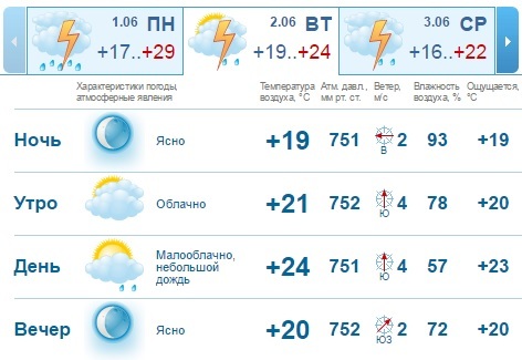Прогноз погоды в Нижнем Новгороде на рабочую неделю: аномальная жара 1