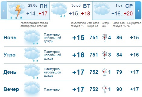 Погода на рабочую неделю в Нижнем Новгороде: пасмурно и дождливо 1