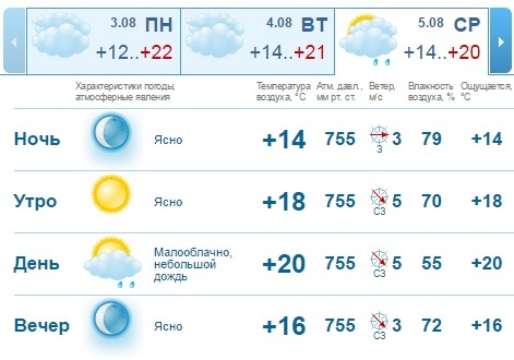 Погода на рабочую неделю в Нижнем Новгороде: свежий воздух, летнее солнце 1