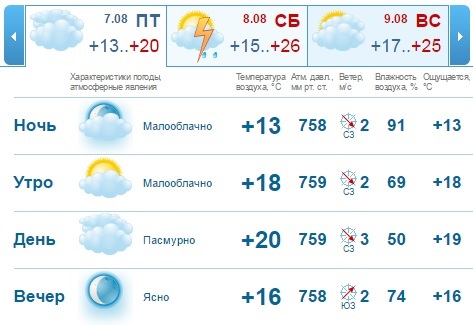 Погода на рабочую неделю в Нижнем Новгороде: свежий воздух, летнее солнце 2