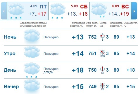 Погода на выходные в Нижнем Новгороде: пасмурно, возможен дождь 1