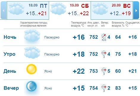 Погода на выходные в Нижнем Новгороде: тепло, небольшие дожди 1