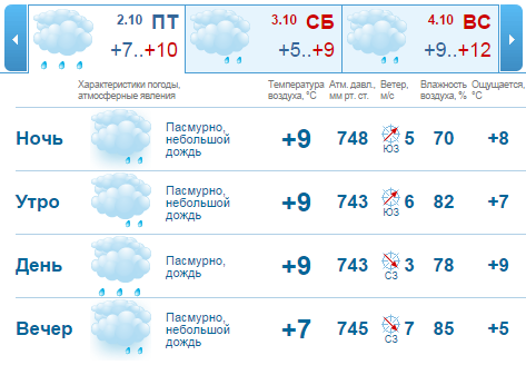 Прогноз погоды на неделю в Нижнем Новгороде: из лета сразу в осень 2