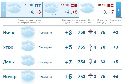 Прогноз погоды на выходные в Нижнем Новгороде: типичный октябрь 1