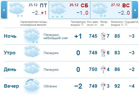 Погода на рабочую неделю в Нижнем Новгороде: сыро и пасмурно 2