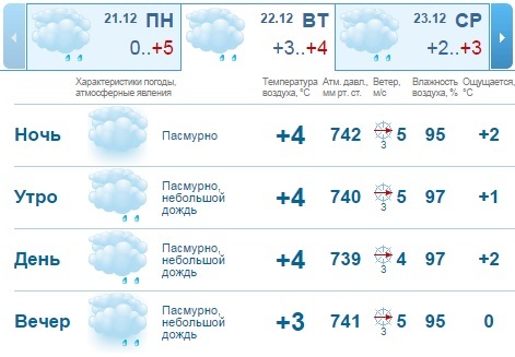 Погода на рабочую неделю в Нижнем Новгороде: сыро и пасмурно 1