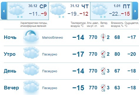 Погода на неделю в Нижнем Новгороде: зима как новогодний подарок 1