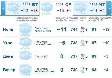 Прогноз погоды в Нижнем Новгороде: возможно, будет объявлено чрезвычайное положение 1