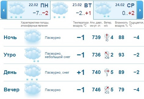 Погода в Нижнем Новгороде на 20-23 февраля: зима с лучами солнца 1
