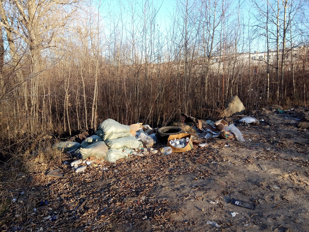 В Нижнем Новгороде хотят построить новый микрорайон в районе Бурнаковской низины
