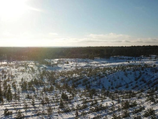 Нижегородская область вошла в ТОП-10 регионов РФ по качеству охраны лесного фонда

