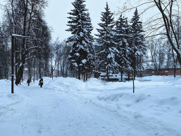 Снегопады и до +2°С. Высота сугробов в Нижнем Новгороде увеличится на 10 см