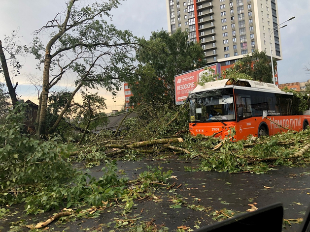 Опубликованы фото последствий урагана в Нижнем Новгороде