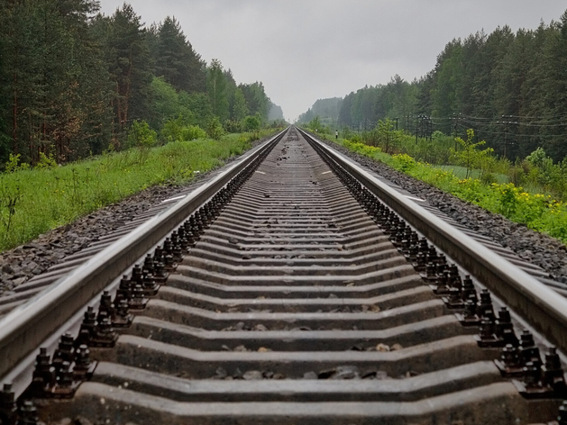 3,5 млрд руб. потребуется на запуск железнодорожной ветки до Кстова Нижегородской области