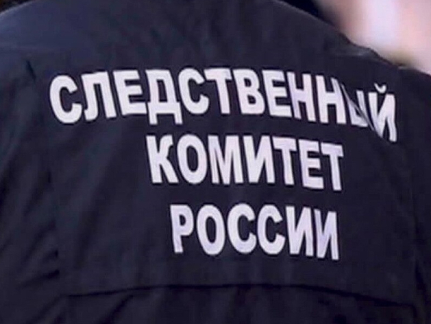 Возбуждено дело. СК проведет проверку из-за нарушений при строительстве нижегородского ЖК