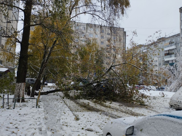 Для борьбы с последствиями бури. В Нижегородскую область привлекли 50 бригад из регионов