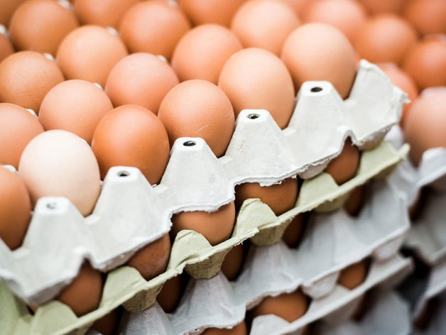 Более 100 руб. за десяток. В Нижегородской области проверяют рост цен на яйца
