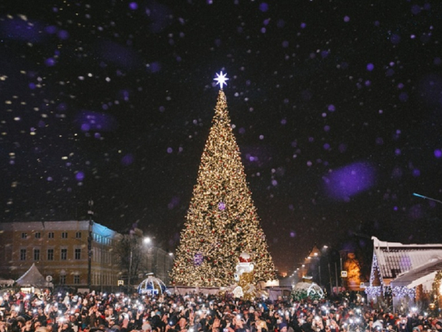 Названа дата установки главной новогодней ели в Нижнем Новгороде 
