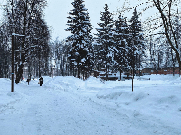 В Нижнем Новгороде выпадет 30 см снега
