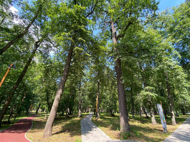 Карусель, площадка для паркура. В Нижнем Новгороде выделили 85 млн руб. на зону отдыха
