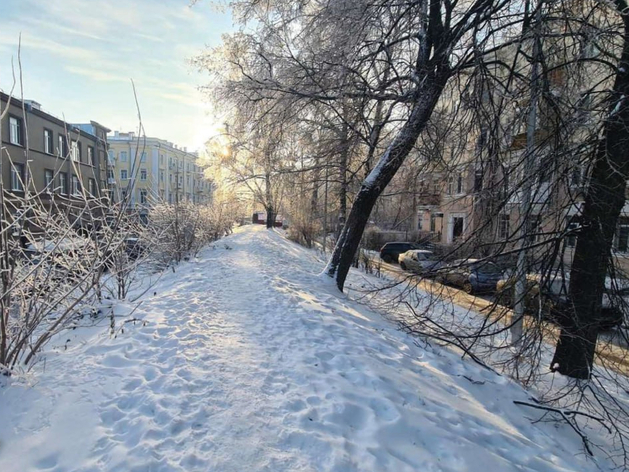 Частокол, подсветка, изгородь. Представлена концепция благоустройства Земляного вала
