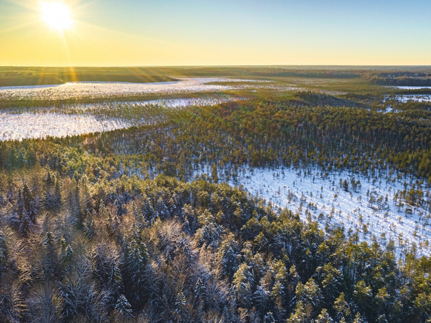 На создание нижегородского нацпарка выделят 154 млн руб.