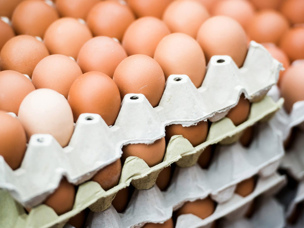 В Нижегородской области продолжают дорожать яйца на фоне общероссийского снижения цен 

