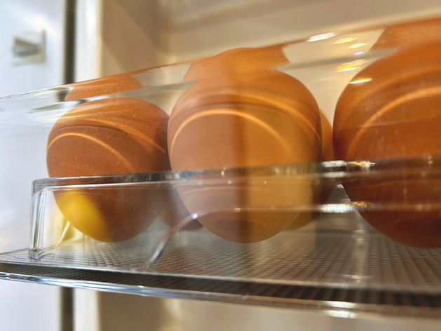 В Нижегородской области сократилось производство яиц
