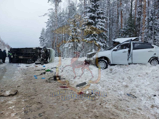 Прокуратура организовала проверку из-за ДТП с тремя погибшими в Нижегородской области