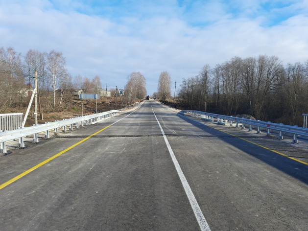 Проект пятого моста через Оку в Нижнем Новгороде прошел экспертизу

