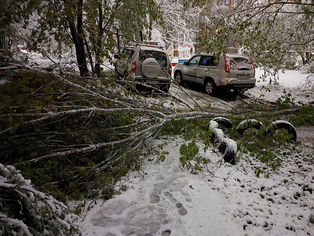 Аномальный снегопад. В Нижегородской области устраняют последствия непогоды
