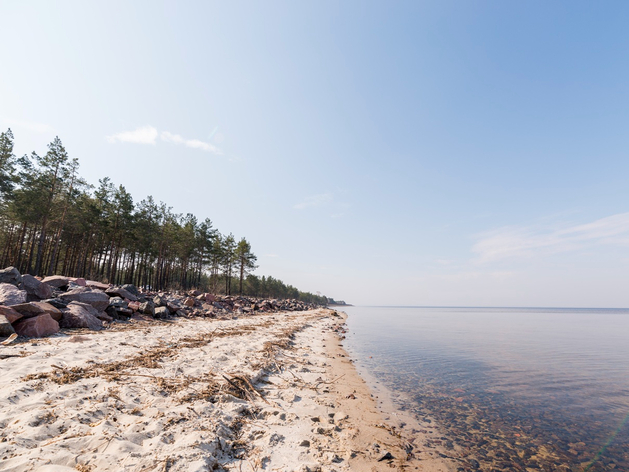 Возле Горьковского моря хотят построить туркомплекс за 2,1 млрд руб.
