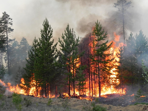 Температура — выше нормы на 7°С. В Нижегородской области установится аномальная погода