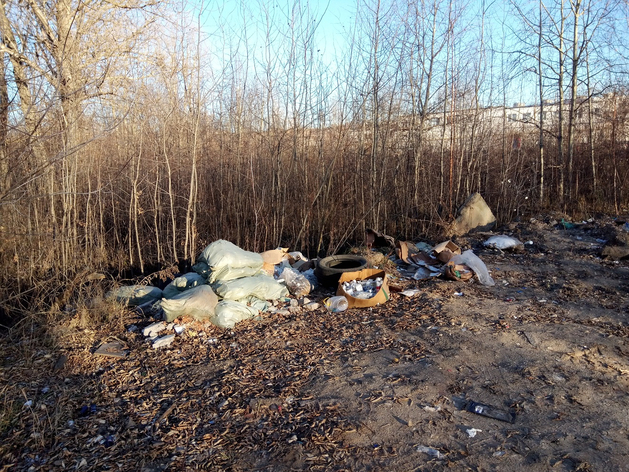 В Нижегородской области создадут комплексную систему сбора опасных отходов

