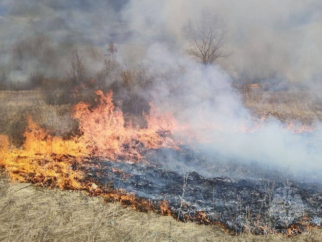 Более 100 протоколов за поджоги травы составили в Нижегородской области с 1 марта
