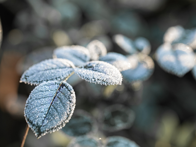 Ночью — до -1°С. В Нижнем Новгороде резко похолодает
