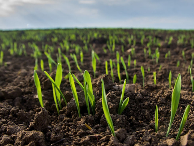 Нижегородскому Фонду АПК направят 130 млн руб. для поддержки сельхозпредприятий
