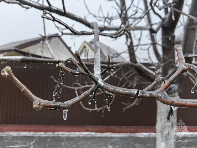 В Нижегородской области прогнозируют заморозки до -4°С
В Нижегородской области прогнозируют заморозки до -4°С