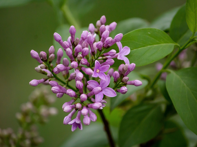 В Нижнем Новгороде прогнозируют потепление до +18°С 
