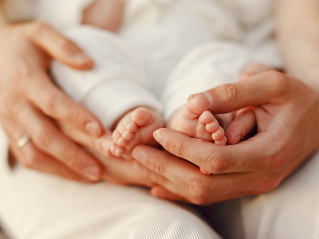 Нижегородские власти запустили «Демографический спецназ»
Нижегородские власти запустили «Демографический спецназ»