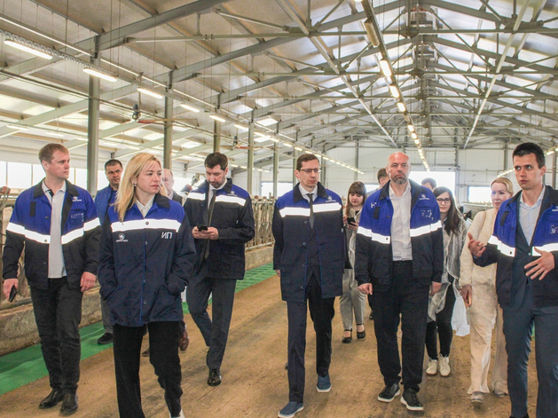 Для северных районов Нижегородской области подготовили инвестпроекты на 7,6 млрд руб.
