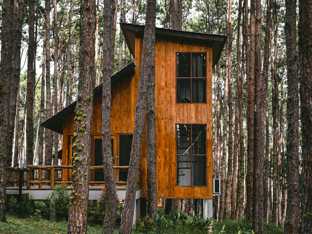 Инвестиции на 500 млн. Эко-базу отдыха с огородом планируют построить на Горьковском море