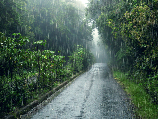 +8°С — ночью, +16°С — днем. На Нижний Новгород надвигается резкое похолодание
