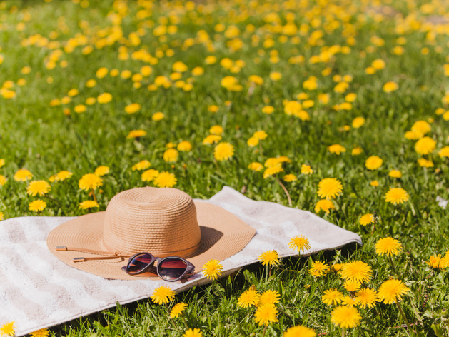 Синоптики спрогнозировали теплый июль в Нижегородской области

