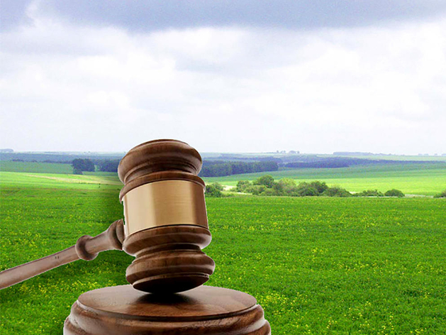 Гид по участию в аукционах по продаже муниципальных земельных участков: как это работает