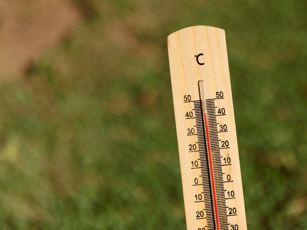 В Нижегородской области установится аномальная жара
