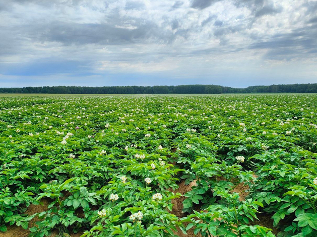 На развитие и создание хозяйств. Нижегородские фермеры получили гранты на 93 млн руб.
