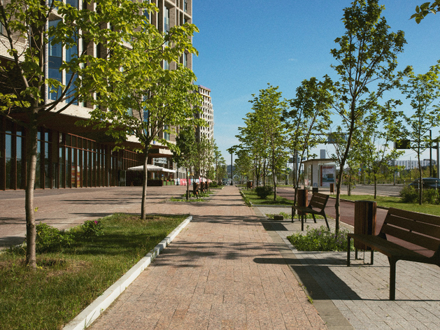 В Нижегородской области начался прием заявок по проектам благоустройства
В Нижегородской области начался прием заявок по проектам благоустройства